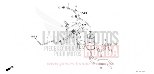 CUVETTE GL1800BDS de 2025